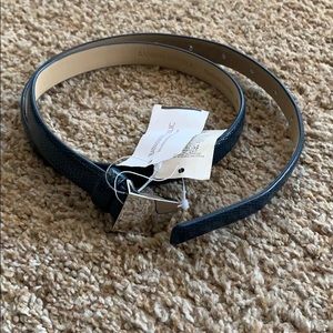 Banana Republic Blue Snake Skin Belt